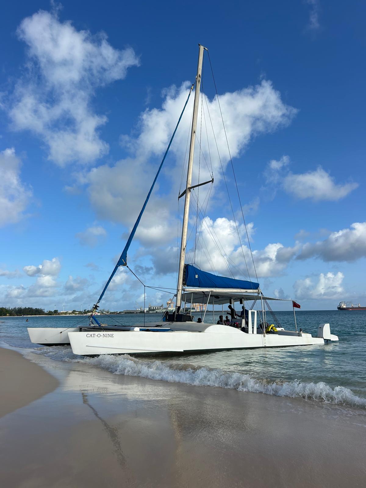 Cat-O-Nine Catamaran in Barbados